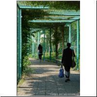 2020-06-26 Hugo-Gottschlich-Park 03.JPG